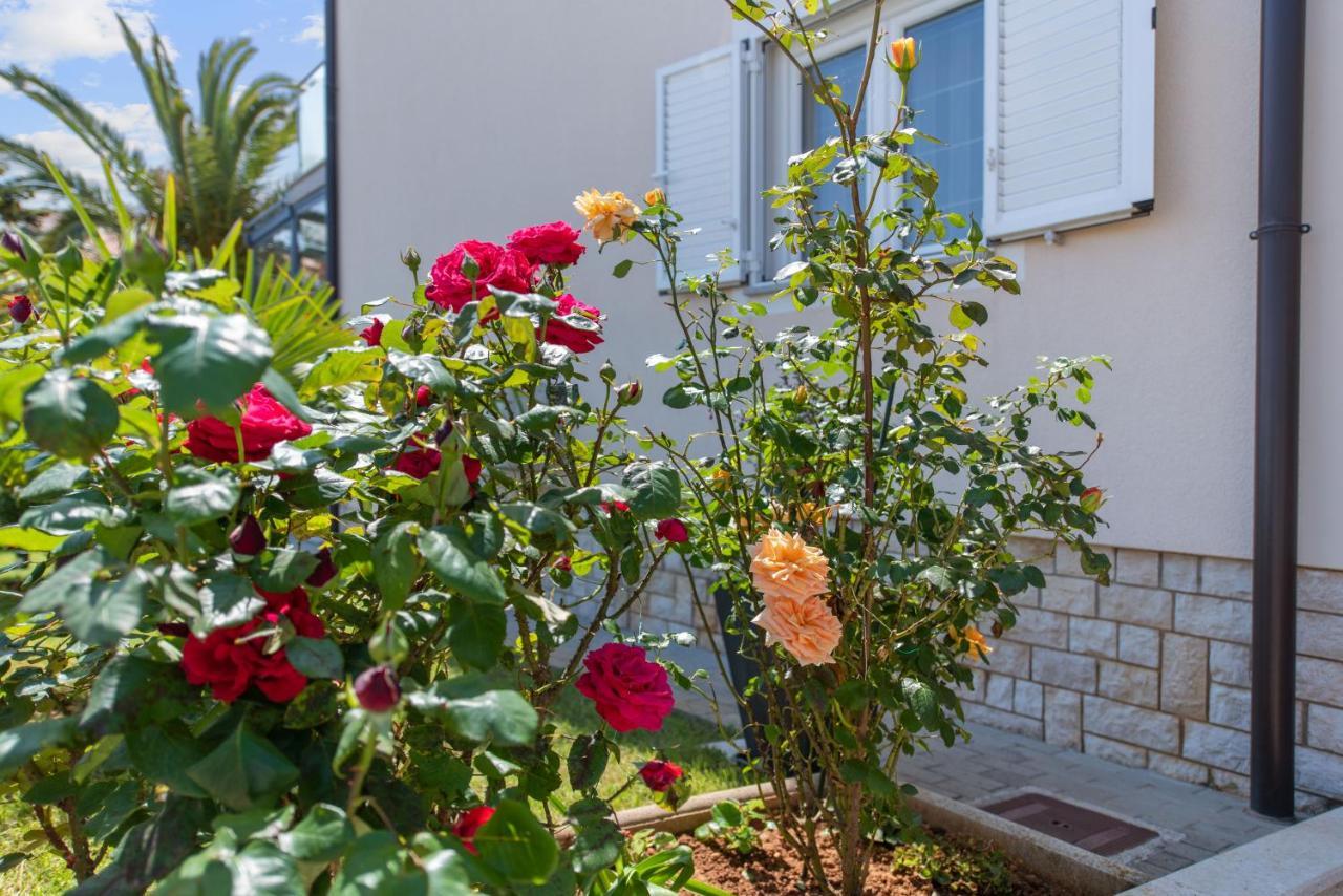 Apartma Summer House