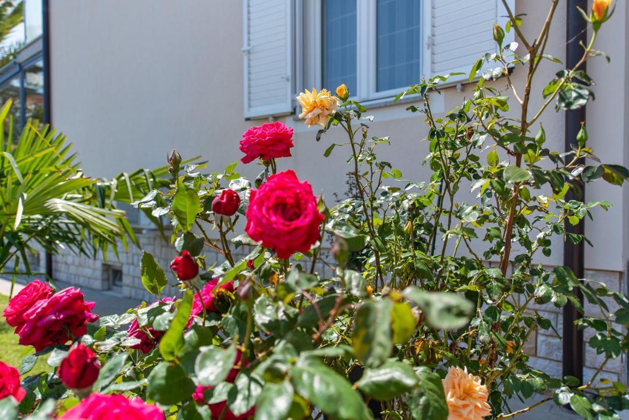 Summer House Apartma