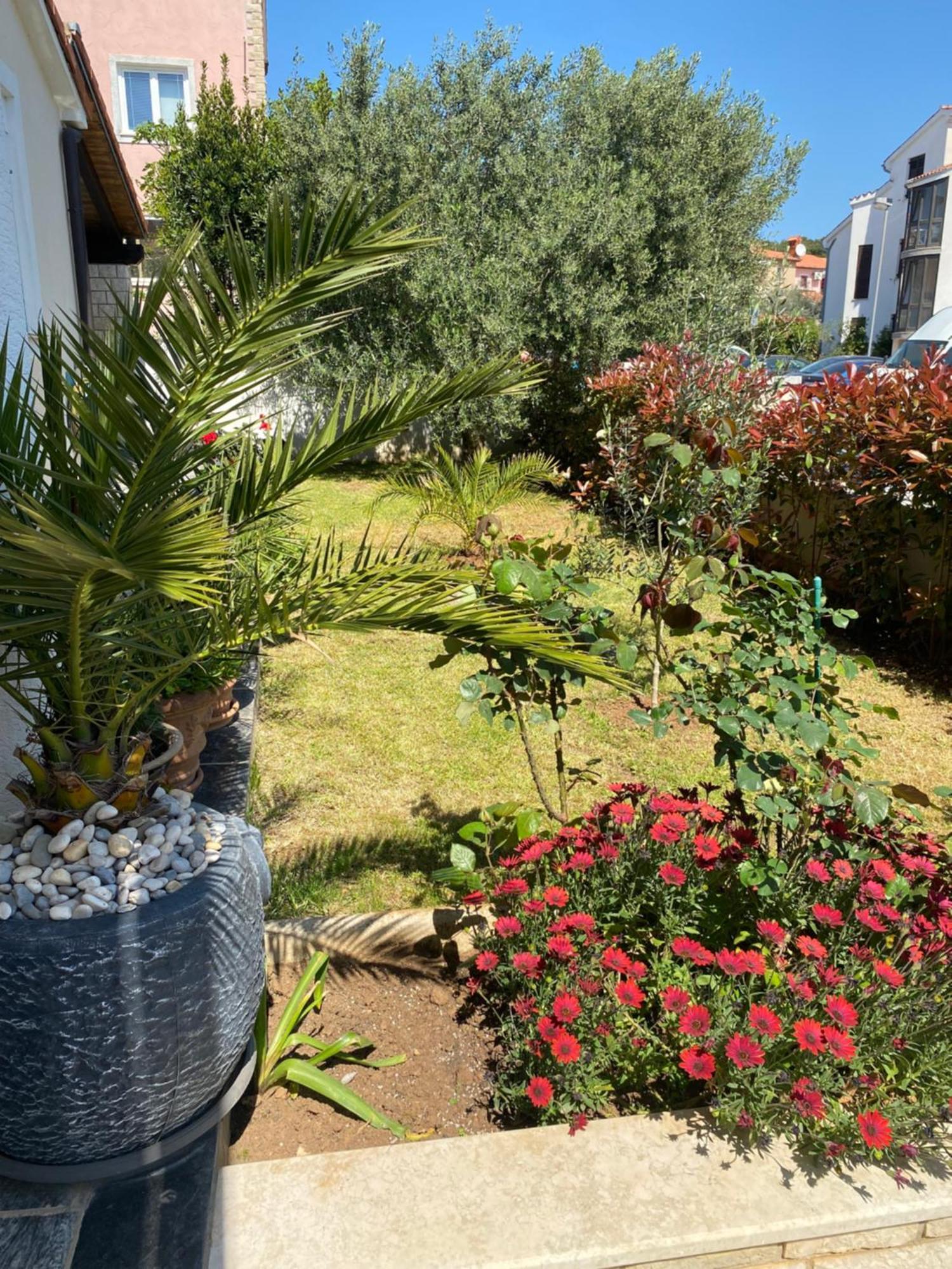 Summer House Apartma Pula